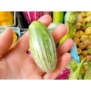Eggplant 'Thai Rugby’ Seeds (Certified Organic)