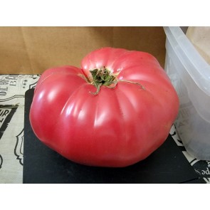 Tomato 'Russian Rose' Seeds (Certified Organic)