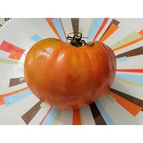 Tomato 'Sunset's Red Horizon' Seeds (Certified Organic)