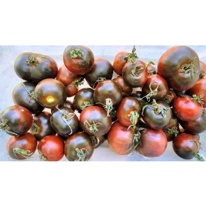 Tomato 'Indigo Blue Chocolate' Seeds (Certified Organic)