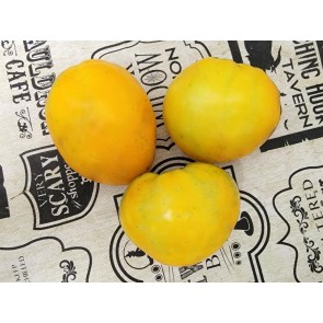 Tomato 'Golden King of Siberia' Seeds (Certified Organic)