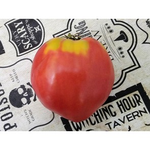Tomato 'New Zealand Pink Paste' Seeds (Certified Organic)