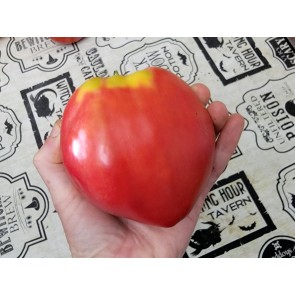 Tomato 'New Zealand Pink Paste' Seeds (Certified Organic)