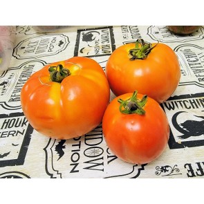 Tomato 'Debut F2' Seeds (Certified Organic)