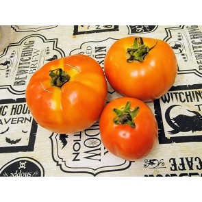 Tomato 'Debut F2' Seeds (Certified Organic)