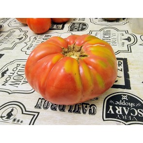 Tomato 'Mrs. Maxwell's Big Italian' Seeds (Certified Organic)