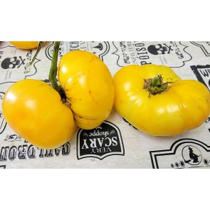 Tomato 'Dagma's Perfection' Seeds (Certified Organic)