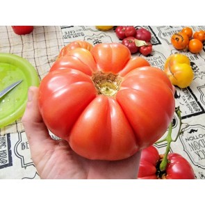 Tomato 'Yellow Flesh Red Interior" (Red Variant) Seeds (Certified Organic)