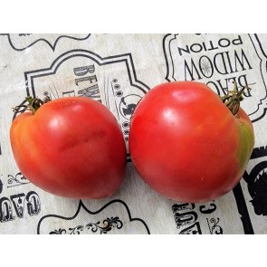 Tomato 'Anna Russian' Seeds (Certified Organic)