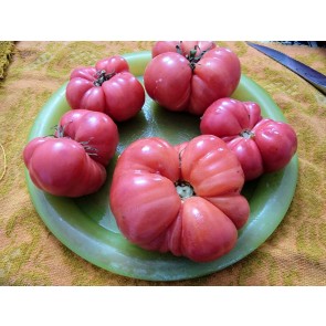 Tomato 'Tobolsk' (Pink Variant) Seeds (Certified Organic)