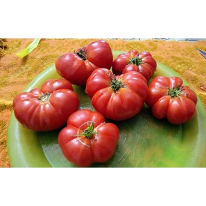 Tomato 'Mandarina Red' Seeds (Certified Organic)