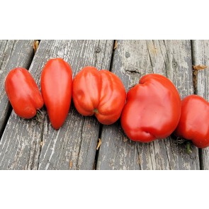 Tomato 'Federle' Seeds (Certified Organic)