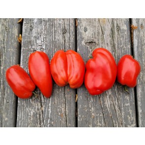 Tomato 'Federle' Seeds (Certified Organic)