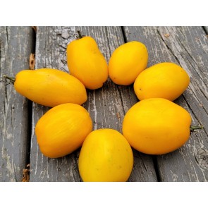 Tomato 'Golden Gates' Seeds (Certified Organic)