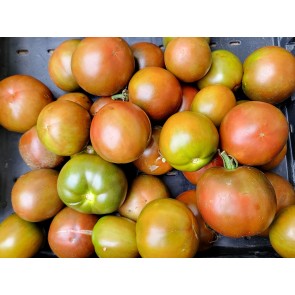 Tomato 'Brazilian Beauty' Seeds (Certified Organic)