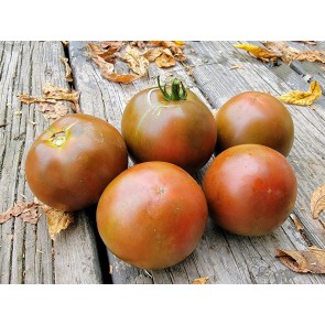 Tomato 'Brazilian Beauty' Seeds (Certified Organic)