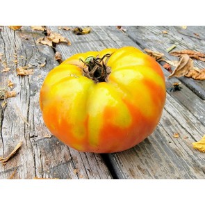 Tomato 'Three Fat Men' Seeds (Certified Organic)