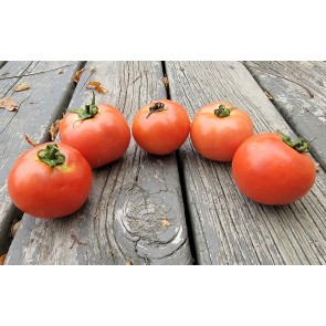 Tomato 'Illini Star' Seeds (Certified Organic)