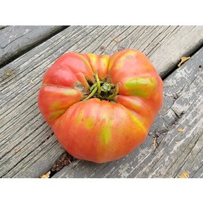 Tomato 'Mrs. Maxwell's Big Italian' Seeds (Certified Organic)