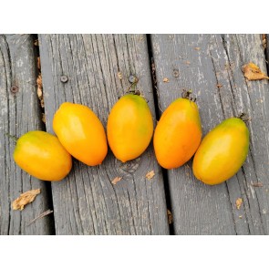 Tomato 'Orange Roma' Seeds (Certified Organic)