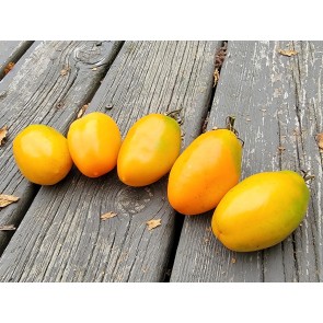 Tomato 'Orange Roma' Seeds (Certified Organic)