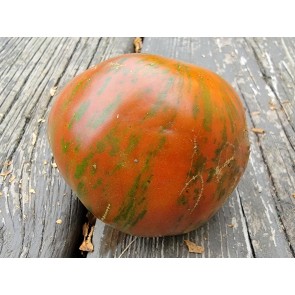 Tomato 'Chocolate Stripes' Seeds (Certified Organic)