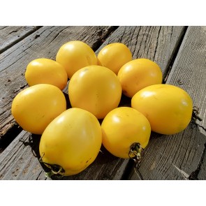 Tomato 'New Moon' Seeds (Certified Organic)