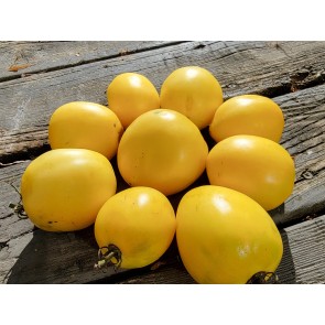 Tomato 'New Moon' Seeds (Certified Organic)