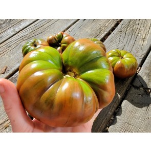Tomato 'Arbuznyi' Seeds (Certified Organic)