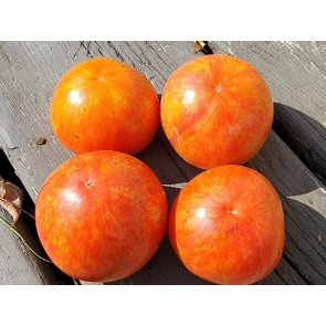 Tomato 'Aviuri' Seeds (Certified Organic)