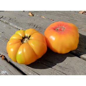 Tomato 'Armenian' Seeds (Certified Organic)