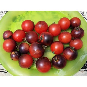 Tomato 'Fahrenheit Blues' Seeds (Certified Organic)