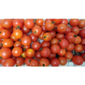 Tomato 'Be My Baby' Seeds (Certified Organic)