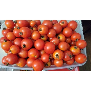 Tomato 'Red Cherry Heirloom' Seeds (Certified Organic)