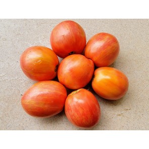 Tomato 'Don Juan' Seeds (Certified Organic)