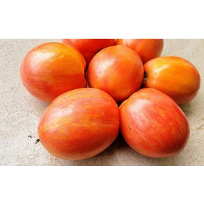 Tomato 'Don Juan' Seeds (Certified Organic)