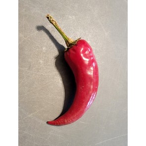 Hot Pepper 'Edes Fuszer Paprika' Seeds (Certified Organic)