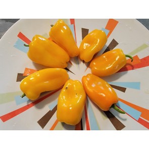 Sweet Pepper 'Lunch Box Yellow' Seeds (Certified Organic)