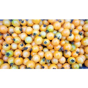 Tomato 'Honeydrop' Seeds (Certified Organic)