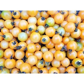 Tomato 'Honeydrop' Seeds (Certified Organic)