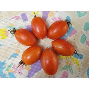 Tomato 'Matt's Folly' Seeds (Certified Organic)