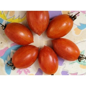 Tomato 'Matt's Folly' Seeds (Certified Organic)