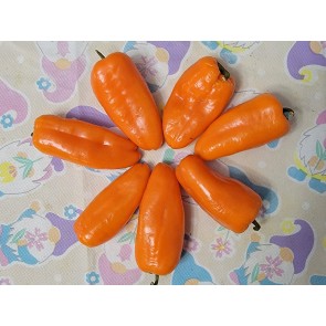 Sweet Pepper 'Lunch Box Orange' Seeds (Certified Organic)