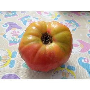 Tomato 'Three Fat Men' (Pink Variant) Seeds (Certified Organic)