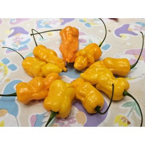 Hot Pepper 'Golden Slimer' Seeds (Certified Organic)