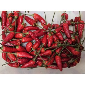 Hot Pepper 'Thai Dragon' Seeds (Certified Organic)