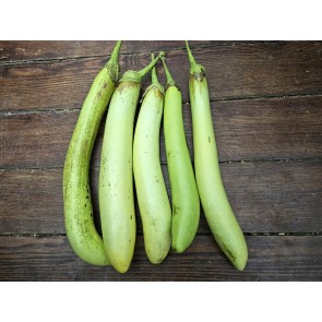 Eggplant 'Thai Long Green’ Seeds (Certified Organic)