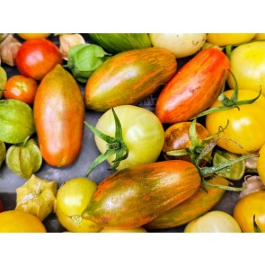 Tomato 'Prairie Fire' Seeds (Certified Organic)