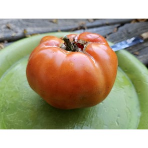 Tomato 'Italian Beefsteak' Seeds (Certified Organic)