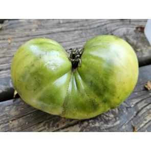 Tomato 'Green Giant' Seeds (Certified Organic)